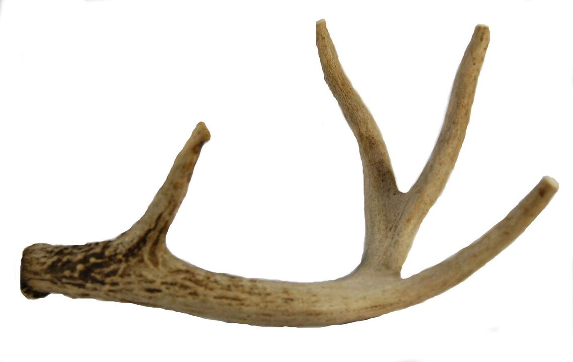 Maral -Panta in Eroboost -Kapseln